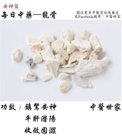 龍骨是什麼|醫砭 » 常用中藥 » 龍骨